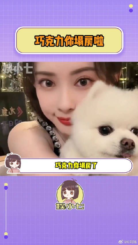 巧克力：蛐蛐我？反黑！快来人给我反黑！小狗 曾舜晞