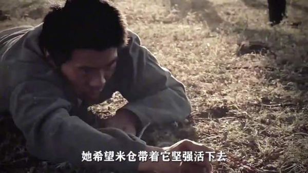 新婚之夜女子以死相逼，心上人持信物破窗抢亲
