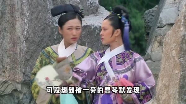 淳儿意外下线，甄嬛御花园策反曹琴默