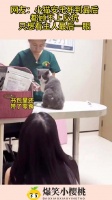 网友：小猫安乐死到最后，都顾不上反抗，只想看主人最后一眼！