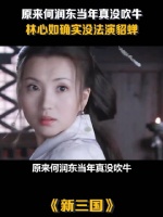 原来何润东当年真没吹牛，林心如确实不能演貂蝉，只有陈好最合适