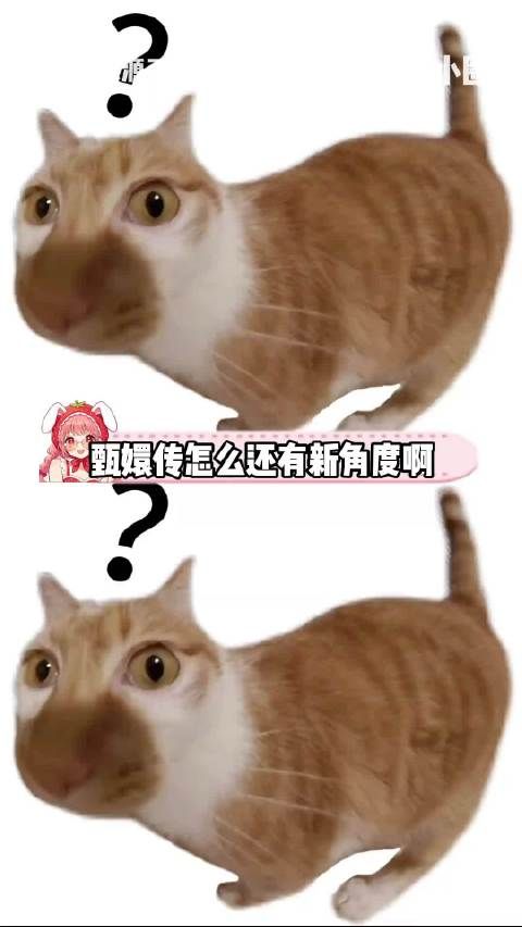 甄嬛传怎么还有新解读角度啊！甄嬛