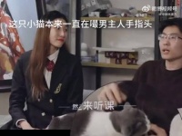 祖峰老师妥妥的爱猫实锤这场面搁谁谁不想让小猫嘬手指头啊！