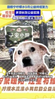 田栩宁柠檬水捐赠狗粮