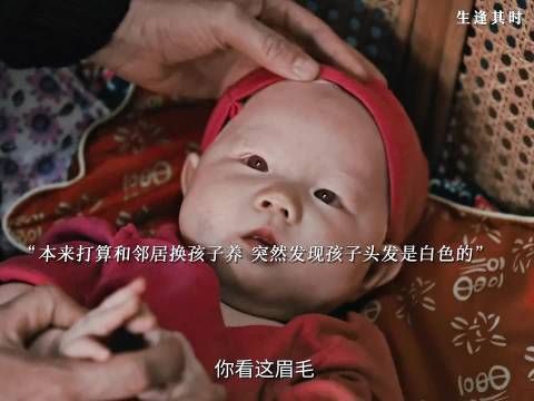 到底是自己喂大的，心中还是不舍