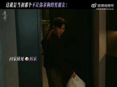 卢克骂骂咧咧嫌弃小狗，见其装可怜又心软宠成宝贝