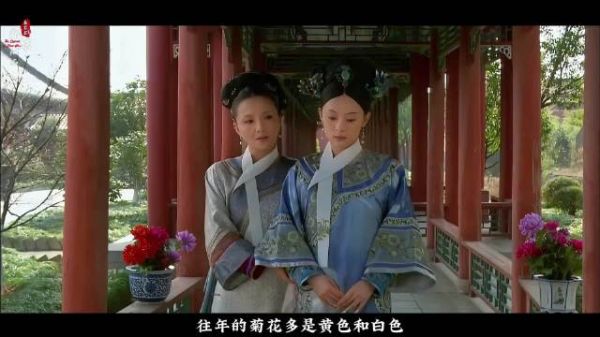 端妃开导甄嬛，华妃是共同的敌人
