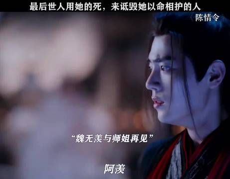 陈情令师姐为护两个弟弟挡剑而死