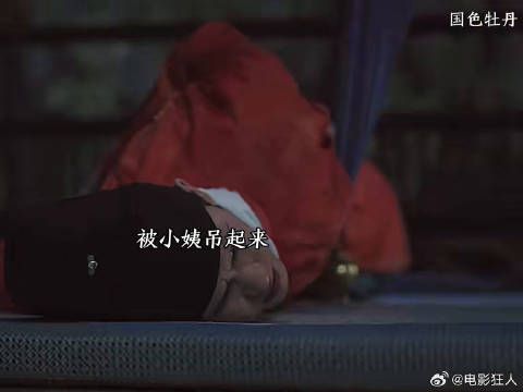 这小姨我可太喜欢了简直是神助攻快来追新剧国色芳