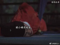 这小姨我可太喜欢了简直是神助攻快来追新剧国色芳