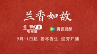 官宣定档！谭松韵刘学义兰香如故下周开播