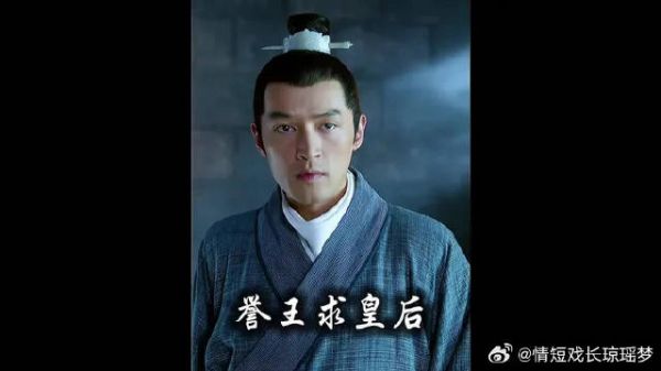 静妃初见梅长苏，誉王迎来谋反机会