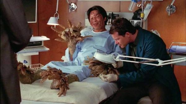 富豪的树皮之谜：坚硬如铁，却为何长满树枝？真相让人不寒而栗！