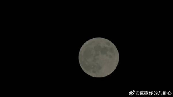 剑指风雪，决战之约终揭晓