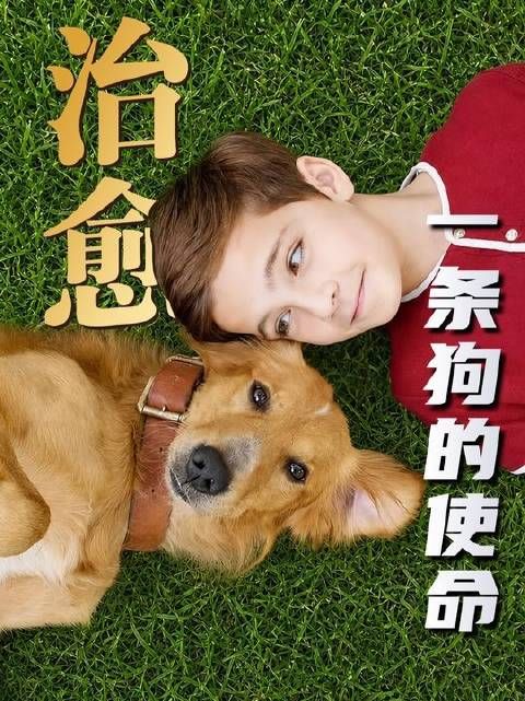 穿越四重生死，只为重逢于你身旁