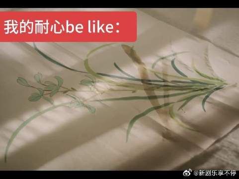 我的耐心belike