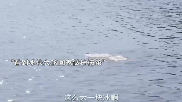 冰河奇遇！女孩河边捡冰块，竟意外卷入大风波？揭秘落花时节的恋爱游戏