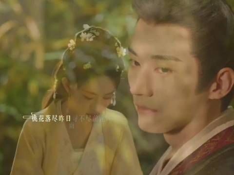 桃花映江山：你的意思是我在魅惑你，我对心术不正的女子毫无兴趣