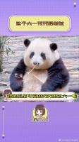 六一 花花