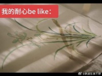 我的耐心belike