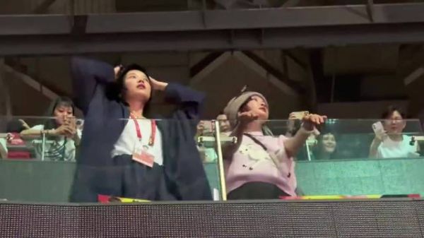辛芷蕾妮妮看李宇春演唱会