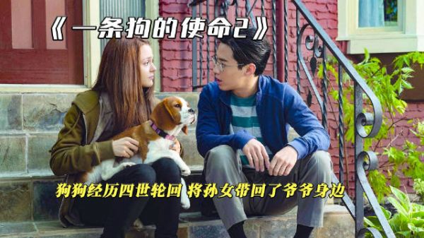 一条狗的使命2