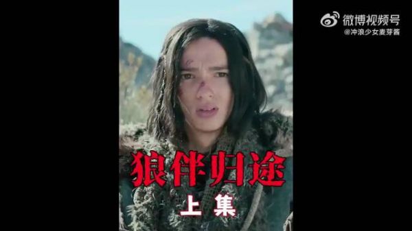 男孩仅凭一个善举，竟驯服了历史上第一只狼犬！剧情片