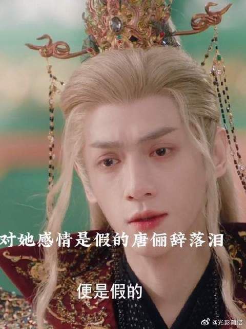 唐俪辞听到阿谁说对他感情是假的落泪了