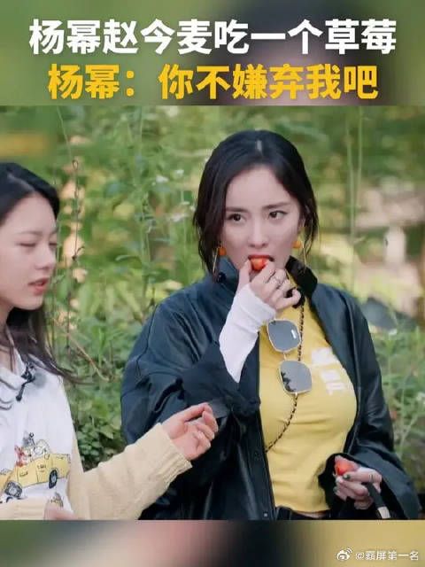 杨幂赵今麦的关系好好哦