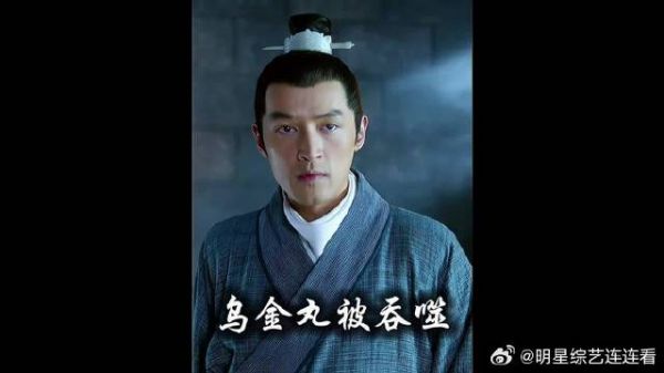 梅长苏的乌金丸之毒被火寒毒化解