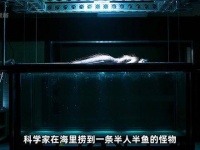 科研人员捕获神秘人鱼，竟实施人类DNA与人鱼基因的跨界融合实验