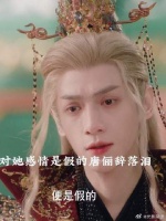 唐俪辞听到阿谁说对他感情是假的落泪了