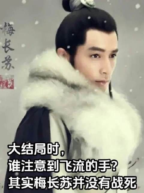 大结局时，谁注意到飞流的手？其实梅长苏并没有战死