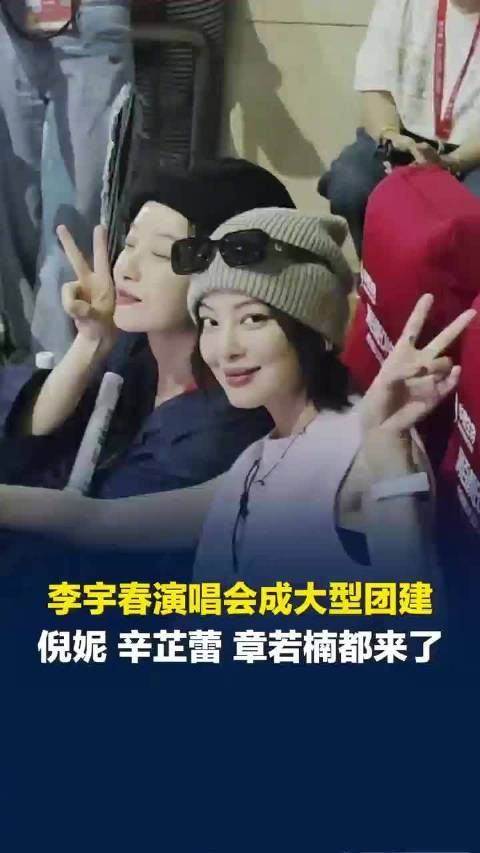 半个娱乐圈明星都去李宇春演唱会