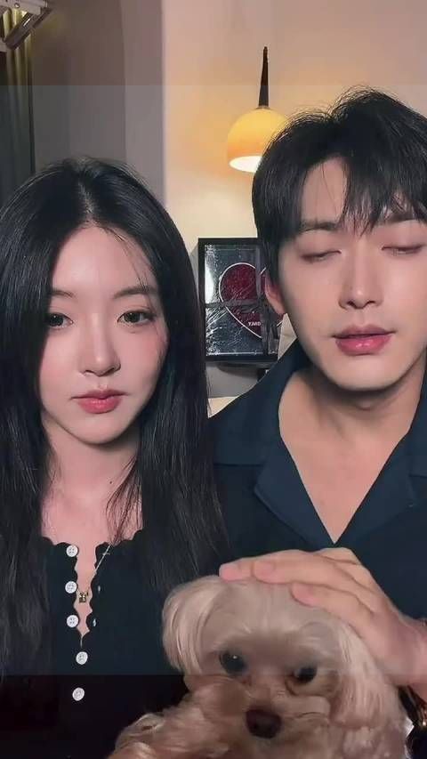 四季三餐两人一狗，其实浪漫的不是四季而是你和我在一块 柳周cp