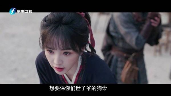 樊长玉当众羞辱随元青