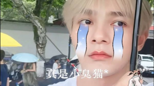 小臭猫捏鼠