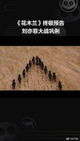 刘亦菲 对战 迪士尼