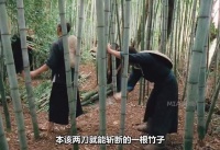 他故意隐藏身份 武侠 动作片 高分电影