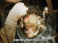 这是一场史无前例的手术！ 惊悚 高分电影 科幻