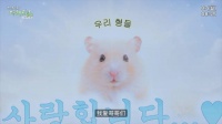 仓鼠老师PPT发表，仁俊哥哥亢奋互动