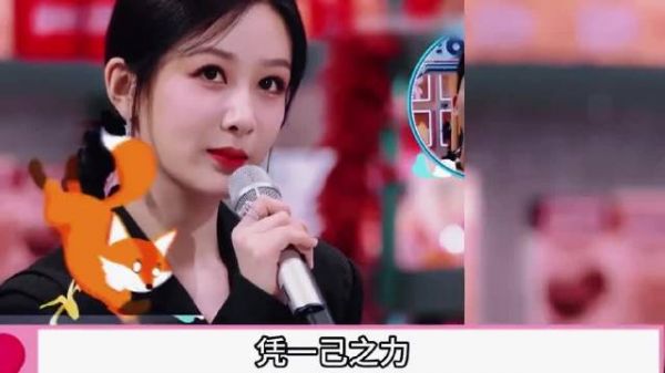 让内娱最不好惹的2个“细节狂魔”反目成仇，杨紫到底有何魔力！？ 家业
