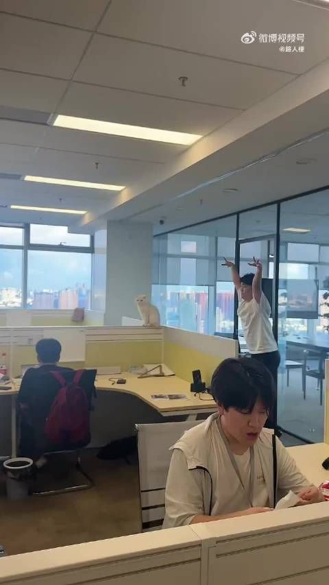 跟没猫的人说不清楚，猫行为每件都是真的