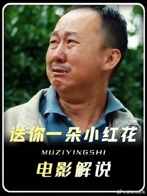世间疾苦千千万，有人向阳而生，有人负重前行，愿每一份坚强都被温柔以待