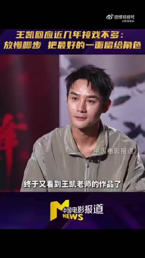 王凯回应近几年接戏不多