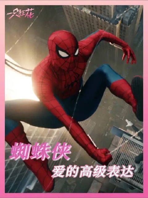 在蜘蛛侠这里，看到了爱的高级表达