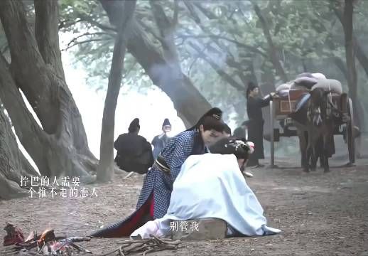 守护你是我的本能