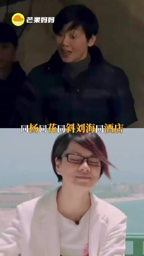 杨洋杨紫频繁上旅综,网友调侃放过杨家人
