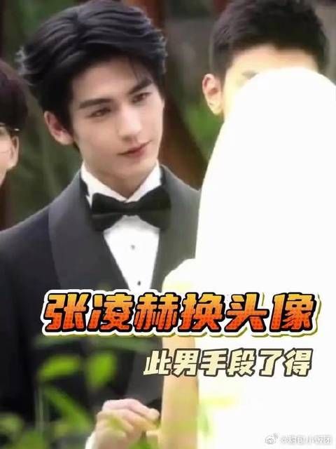 314.这个张凌赫有点太会了