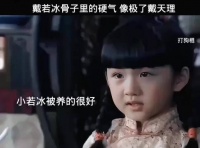 戴若冰骨子里的硬气，像极了戴天理 打狗棍